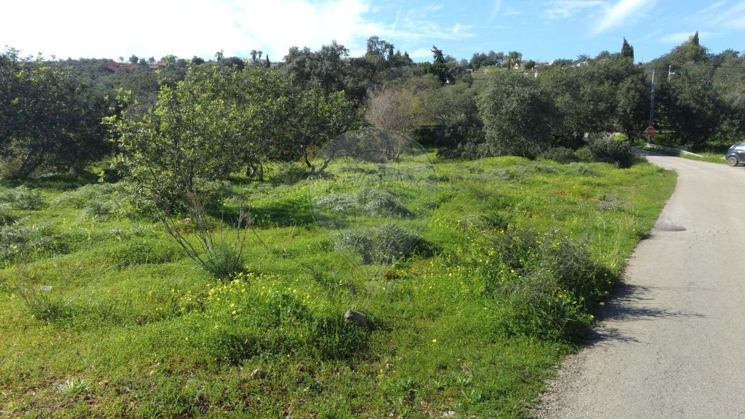  قطعة أرض في Loule, Portugal 5000متر مربع رقم 152147