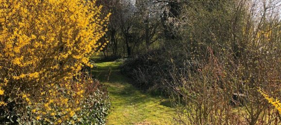 3 Schlafzimmer Stadthaus in Peine, Germany, Nr. 323106 3