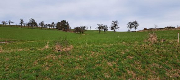 860m² Land in St. Peter in der Au, Austria No. 81446 3