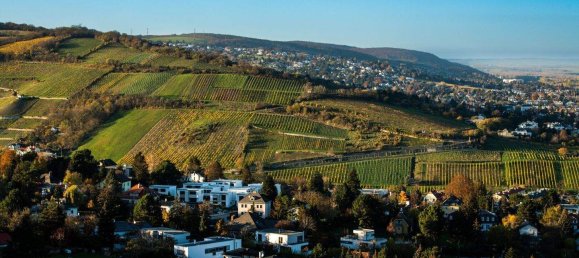  Land in Klosterneuburg, Austria No. 246657 2