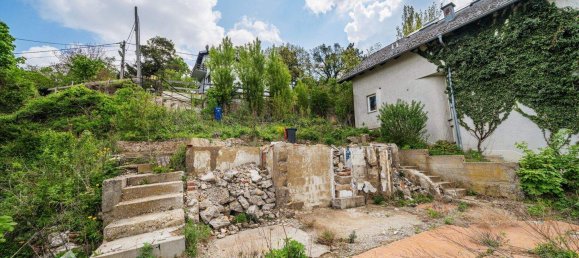  Land in Klosterneuburg, Austria No. 246657 5