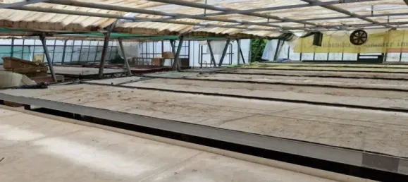 6 Schlafzimmer Bauernhof in Heilbronn, Germany, Nr. 66703 26