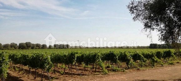 5 rooms Building in Francavilla Fontana, Italy No. 9844 12