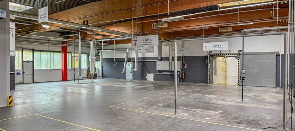 Büro in Wels, Austria 1384m², Nr. 129366 3