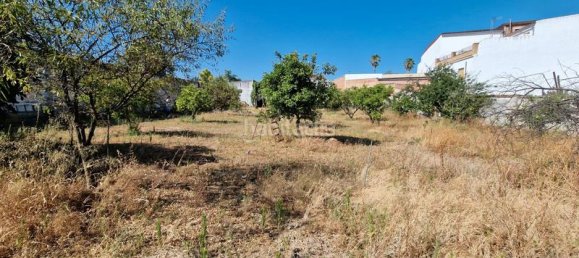 1666m² Land in Cordoba, Spain No. 161827 2