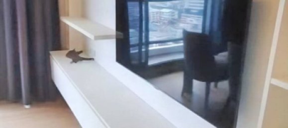 2 bedrooms Condo in Bangkok, Thailand No. 17808 3