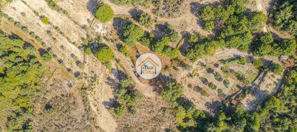 Земельный участок 59000м² в Сернансельи, Португалия № 58271 19