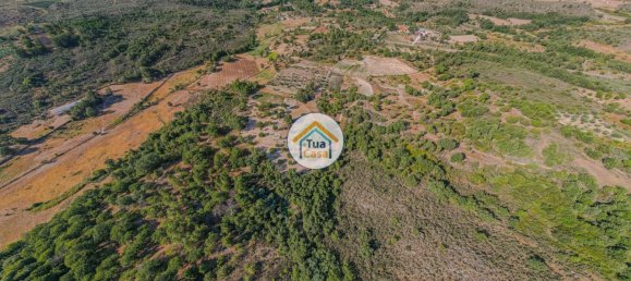 Земельный участок 59000м² в Сернансельи, Португалия № 58271 3