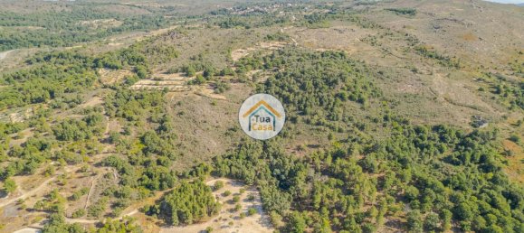 Земельный участок 59000м² в Сернансельи, Португалия № 58271 8