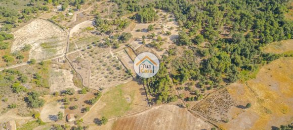 Земельный участок 59000м² в Сернансельи, Португалия № 58271 5