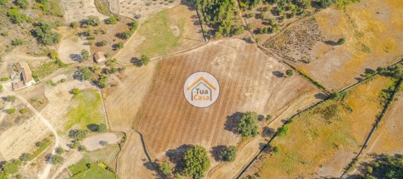 Земельный участок 59000м² в Сернансельи, Португалия № 58271 4