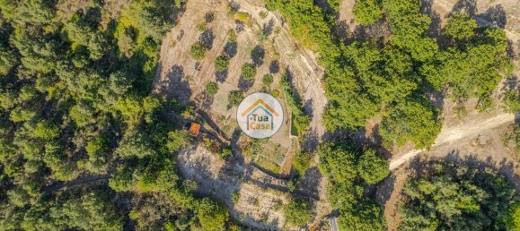 Земельный участок 59000м² в Сернансельи, Португалия № 58271 15