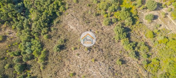 Земельный участок 59000м² в Сернансельи, Португалия № 58271 17