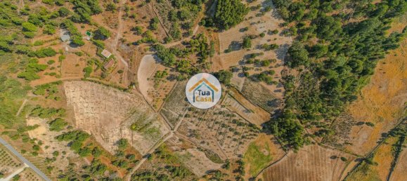 Земельный участок 59000м² в Сернансельи, Португалия № 58271 2