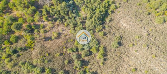 Земельный участок 59000м² в Сернансельи, Португалия № 58271 18