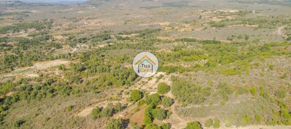 Земельный участок 59000м² в Сернансельи, Португалия № 58271 14