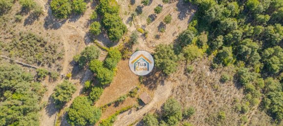 Земельный участок 59000м² в Сернансельи, Португалия № 58271 12