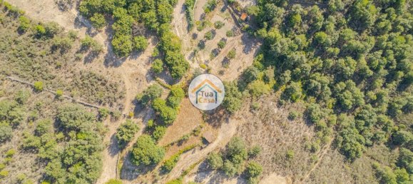 Земельный участок 59000м² в Сернансельи, Португалия № 58271 13