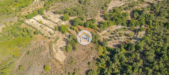 Земельный участок 59000м² в Сернансельи, Португалия № 58271 10