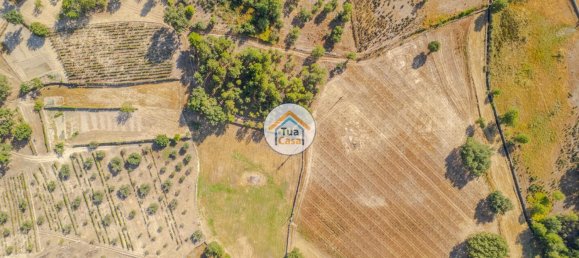 Земельный участок 59000м² в Сернансельи, Португалия № 58271 6