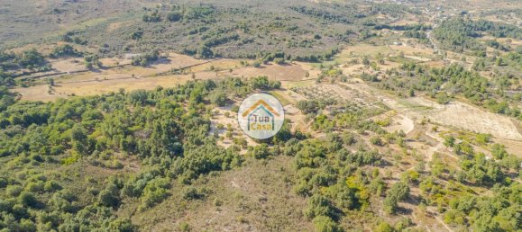 Земельный участок 59000м² в Сернансельи, Португалия № 58271 16