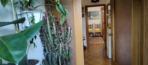 6-Zimmer Wohnung in Montepulciano, Italy, Nr. 69659 7
