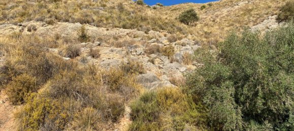 Земельный участок в Коин, Испания № 101157 11