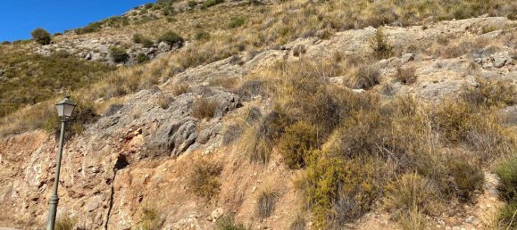 Земельный участок в Коин, Испания № 101157 9