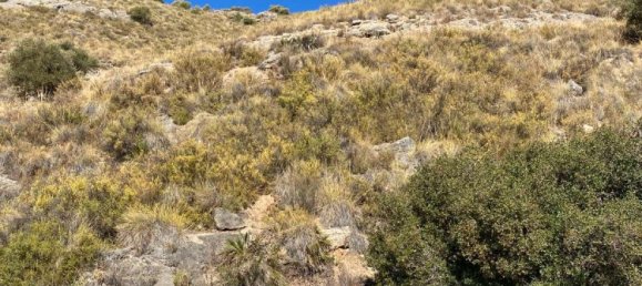 Земельный участок в Коин, Испания № 101157 14