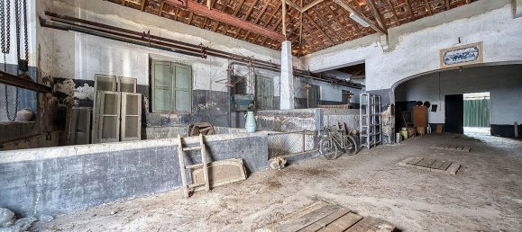 Entrepôt à Alpiarca, Portugal 456m² No. 161838 5