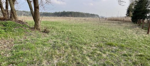 7-salle Ferme à Elbe-Elster, Germany No. 323054 12