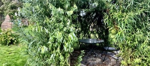 4 chambres Maison de ville à Demmin, Germany No. 128084 17