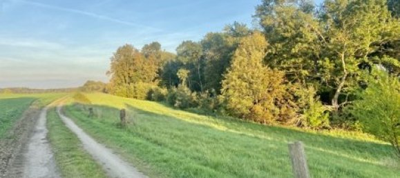 4 chambres Maison de ville à Demmin, Germany No. 128084 21