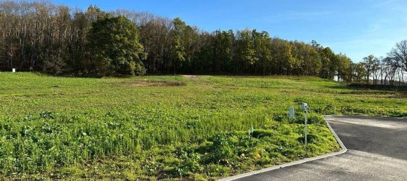 Terrain à Mittelsachsen, Germany No. 143868 2