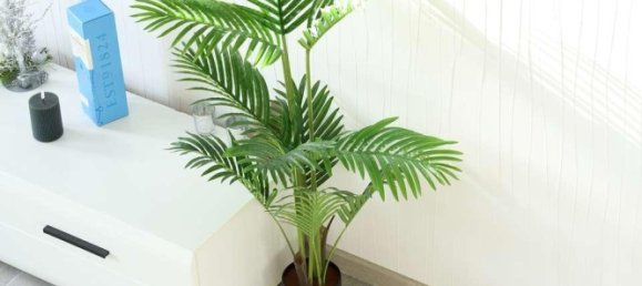 3 غرف نوم تاون هاوس في Borde, Germany رقم 128635 8