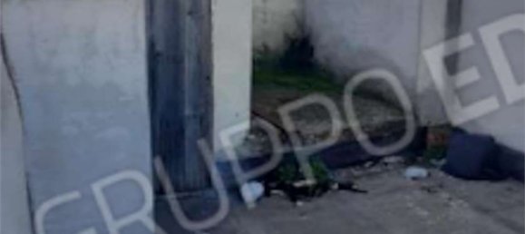 5-salle Appartement à Andria, Italy No. 258985 11