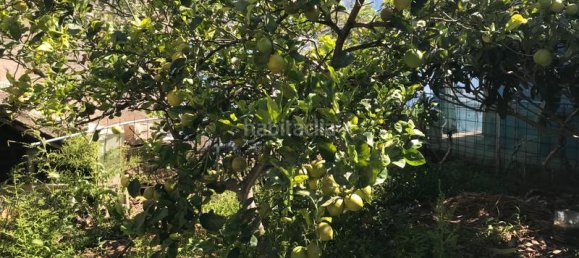 2 bedrooms House in Telde, Spain No. 158561 11