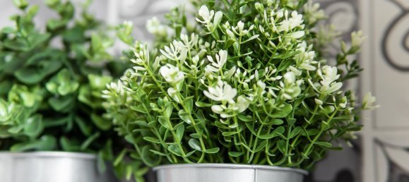 78m² Commercial property in Somma Lombardo, Italy No. 171298 13