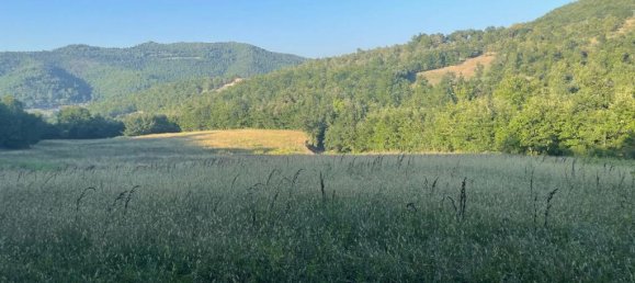 2 bedrooms Castles in Città di Castello, Italy No. 56116 23