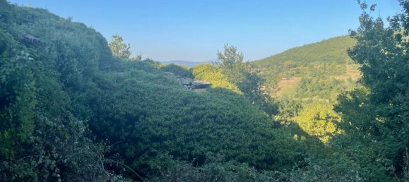 2 bedrooms Castles in Città di Castello, Italy No. 56116 31