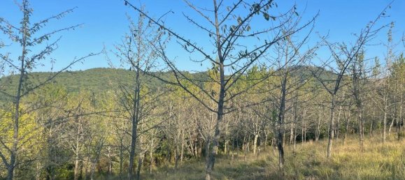 2 bedrooms Castles in Città di Castello, Italy No. 56116 32