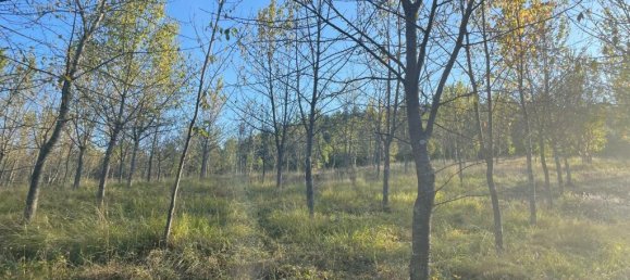 2 bedrooms Castles in Città di Castello, Italy No. 56116 35