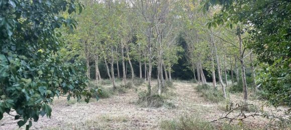 2 bedrooms Castles in Città di Castello, Italy No. 56116 30