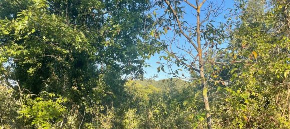 2 bedrooms Castles in Città di Castello, Italy No. 56116 34