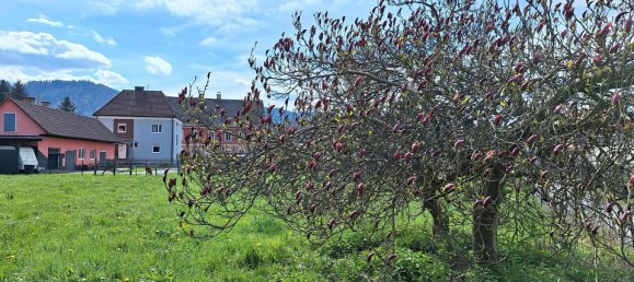 Grundstück in Arnfels, Austria, Nr. 127140 8