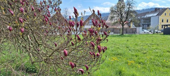 Grundstück in Arnfels, Austria, Nr. 127140 3