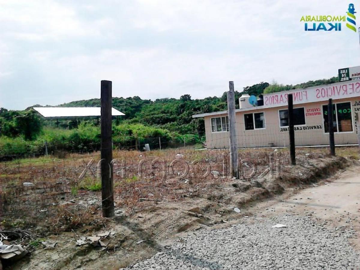  Land in Veracruz, Mexico No. 203585