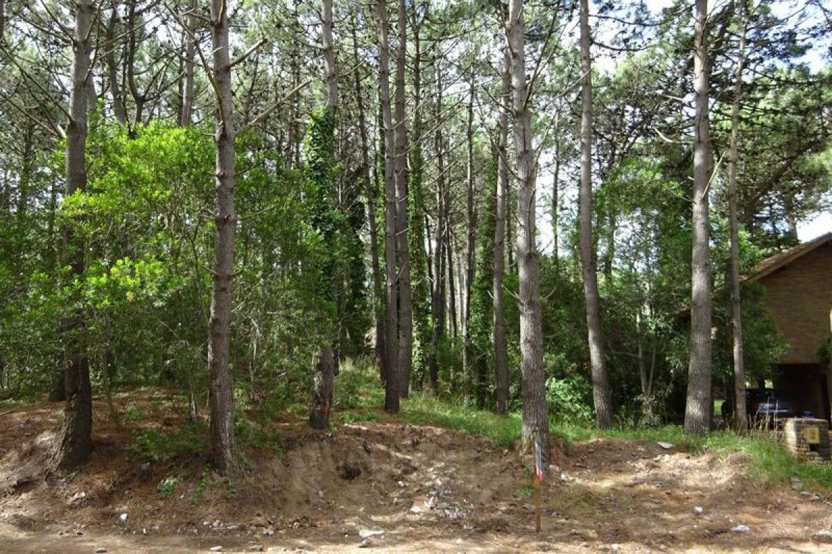  قطعة أرض في Mar del Plata, Argentina رقم 111562