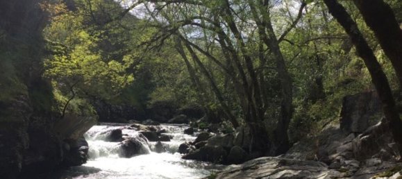 6 Schlafzimmer Haus in Pedrogao Grande, Portugal, Nr. 140852 26