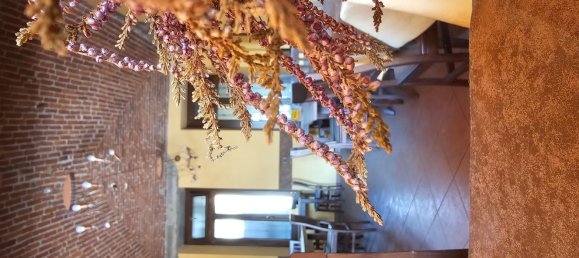 105m² Commercial property in Luserna San Giovanni, Italy No. 286720 13